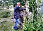 Neil 2014
